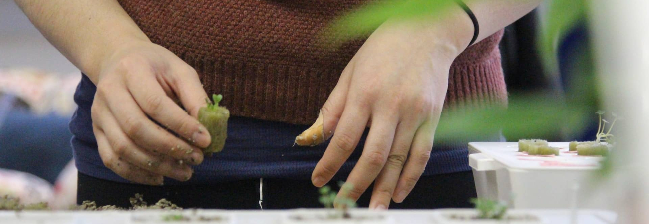 laura s xEh6uP3bn5U unsplash