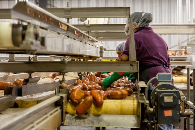 food processing cleanrooms