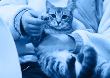 Animal Health